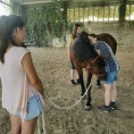 Kati