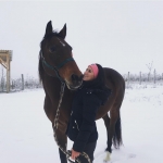 Zsófi